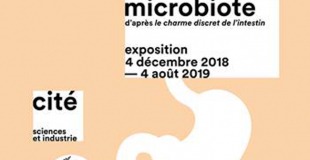 Microbiote, exposition du 4 décembre 2018 au 4 août 2019