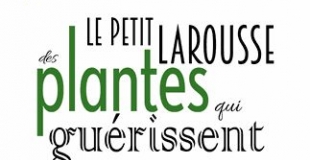 Bien se soigner par les plantes, est-ce possible ?