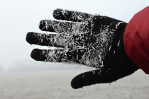 L'engelure : symptômes, causes, traitements et prévention