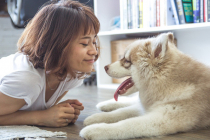 3 maladies que les chiens peuvent transmettre à l'homme