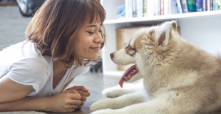 3 maladies que les chiens peuvent transmettre à l'homme