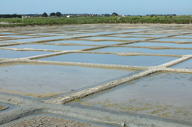 marais salants