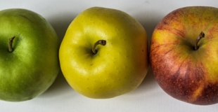 Les bienfaits de la pomme en terme de nutrition