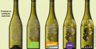 L'intolérance aux sulfites dans le vin