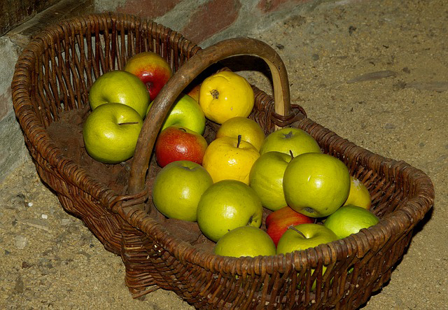 Les bienfaits de la pomme